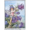 Flower Fairy Wall Art by Cicely Mary Barker