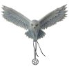 Awaken Your Magic Owl Figurine by Anne Stokes