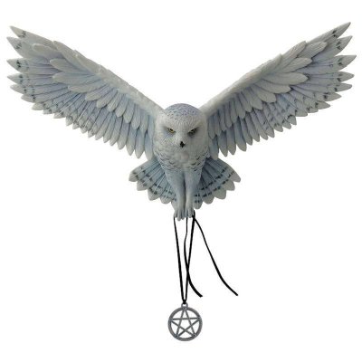 Awaken Your Magic Owl Figurine by Anne Stokes