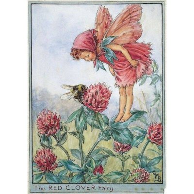 Red Clover Flower Fairy Fantasy Art by Cicely Mary Barker