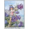 Canterbury Bell Flower Fairy Fantasy Art by Cicely Mary Barker