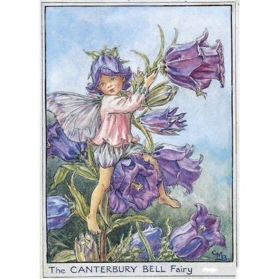 Canterbury Bell Flower Fairy Fantasy Art by Cicely Mary Barker
