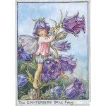 Canterbury Bell Flower Fairy Fantasy Art by Cicely Mary Barker