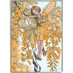Laburnum Flower Fairy Fantasy Art by Cicely Mary Barker