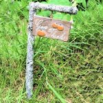 Give Thanks Fall Fairy Garden Sign Figurine