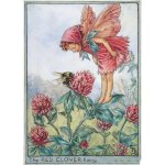 Red Clover Flower Fairy Fantasy Art by Cicely Mary Barker
