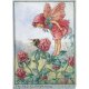Red Clover Flower Fairy Fantasy Art by Cicely Mary Barker