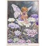 Candytuft Flower Fairy Fantasy Art by Cicely Mary Barker