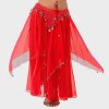 Long Harem Skirt Belly Dance Costume