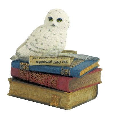 Snow Owl on Books Trinket Box Owl Figurine