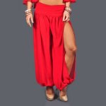 Harem Pants Belly Dance Costume