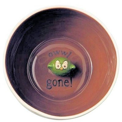 Crimson Hollow Peek-a-boo Owl Figurine Serving Bowl