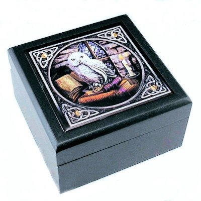 Owl Jewelry Box by Anne Stokes