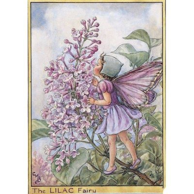 Lilac Flower Fairy Fantasy Art by Cicely Mary Barker