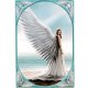 Spirit Guide Fantasy Art Angel by Anne Stokes