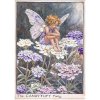 Candytuft Flower Fairy Fantasy Art by Cicely Mary Barker