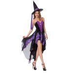 Regal Enchantress Adult Witch Costume