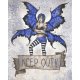 Keep Out Fairy Fantasy Art by Amy Brown