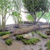 Fairy Garden Toys