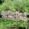 Birch Wood Fence Fairy Garden Figurine