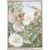 White Bindweed Flower Fairy Fantasy Art by Cicely Mary Barker