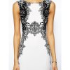 Charming Maiden Black and White Dress