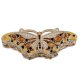 Butterfly Figurine Trinket Box by Keren Kopal