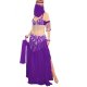 Purple Passion Harem Girl Adult Belly Dance Costume