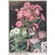 Phlox Flower Fairy Fantasy Art by Cicely Mary Barker
