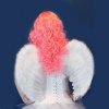 Wigs Long Hair & Feather Hair