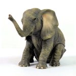 Baby Elephant Figurine Happy Fellow