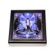 Immortal Flight Fairy Jewelry Box by Anne Stokes