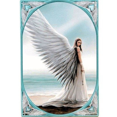 Spirit Guide Fantasy Art Angel by Anne Stokes