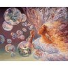 Josephine Wall