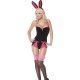 Pin Up Playgirl Adult Playboy Bunny Costume