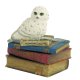 Snow Owl on Books Trinket Box Owl Figurine