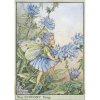 Chicory Flower Fairy Fantasy Art by Cicely Mary Barker