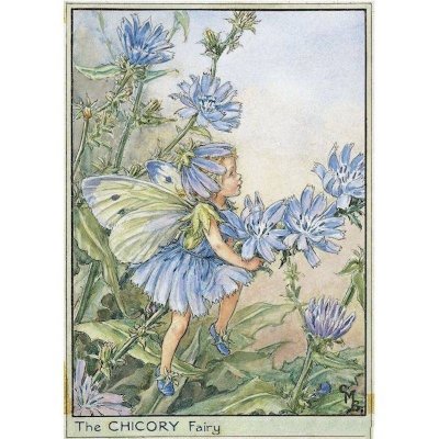 Chicory Flower Fairy Fantasy Art by Cicely Mary Barker