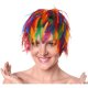 Rainbow Color Feather Cap Costume Wig