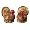 Turkey Figurine Salt & Pepper Set
