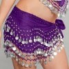 Silver Coin Hip Scarf Belly Dance Costume