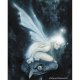 Tinkerbelle Fairy Fantasy Art by Brian Froud