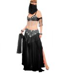 Black Beauty Adult Belly Dance Costume