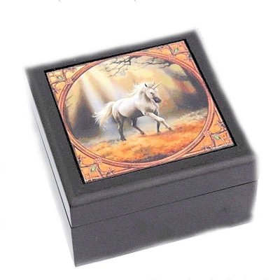 White Unicorn Jewelry Box by Anne Stokes