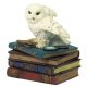 Snow Owl Flapping Wings Trinket Box Owl Figurine