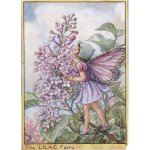 Lilac Flower Fairy Fantasy Art by Cicely Mary Barker