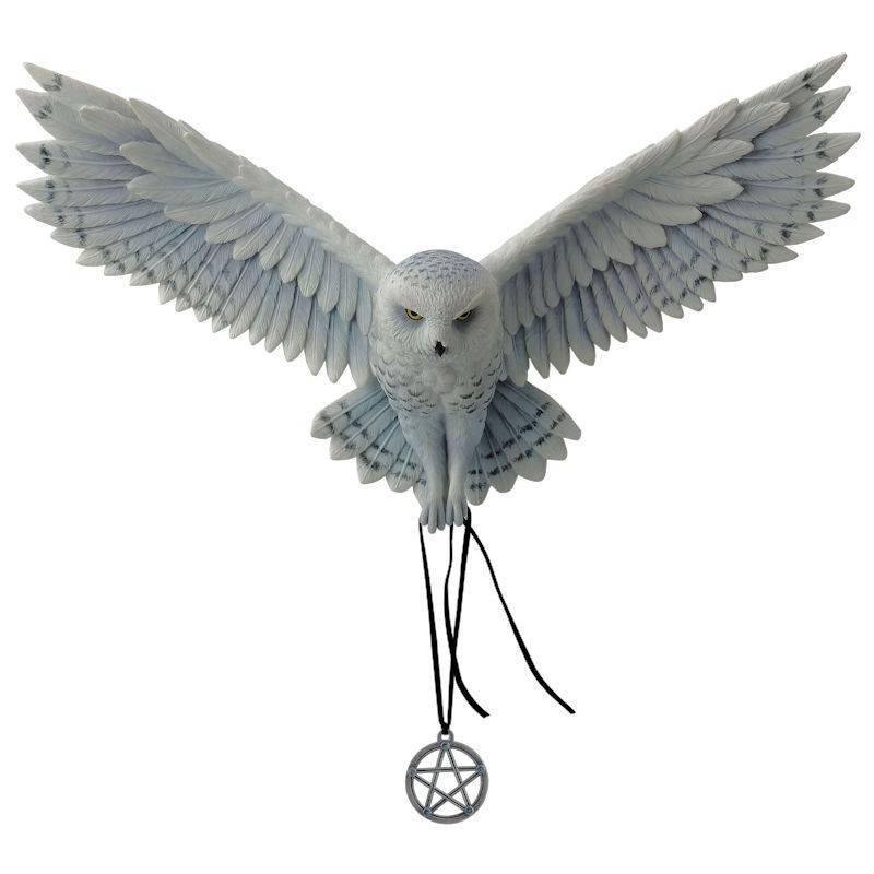 Awaken Your Magic Owl Figurine by Anne Stokes